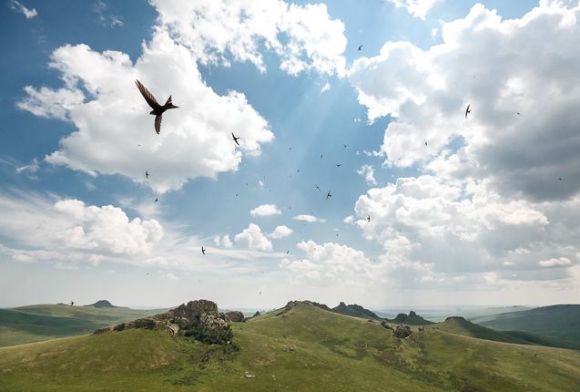 Юбилейный вечер «Дунаевские. Двойной портрет»